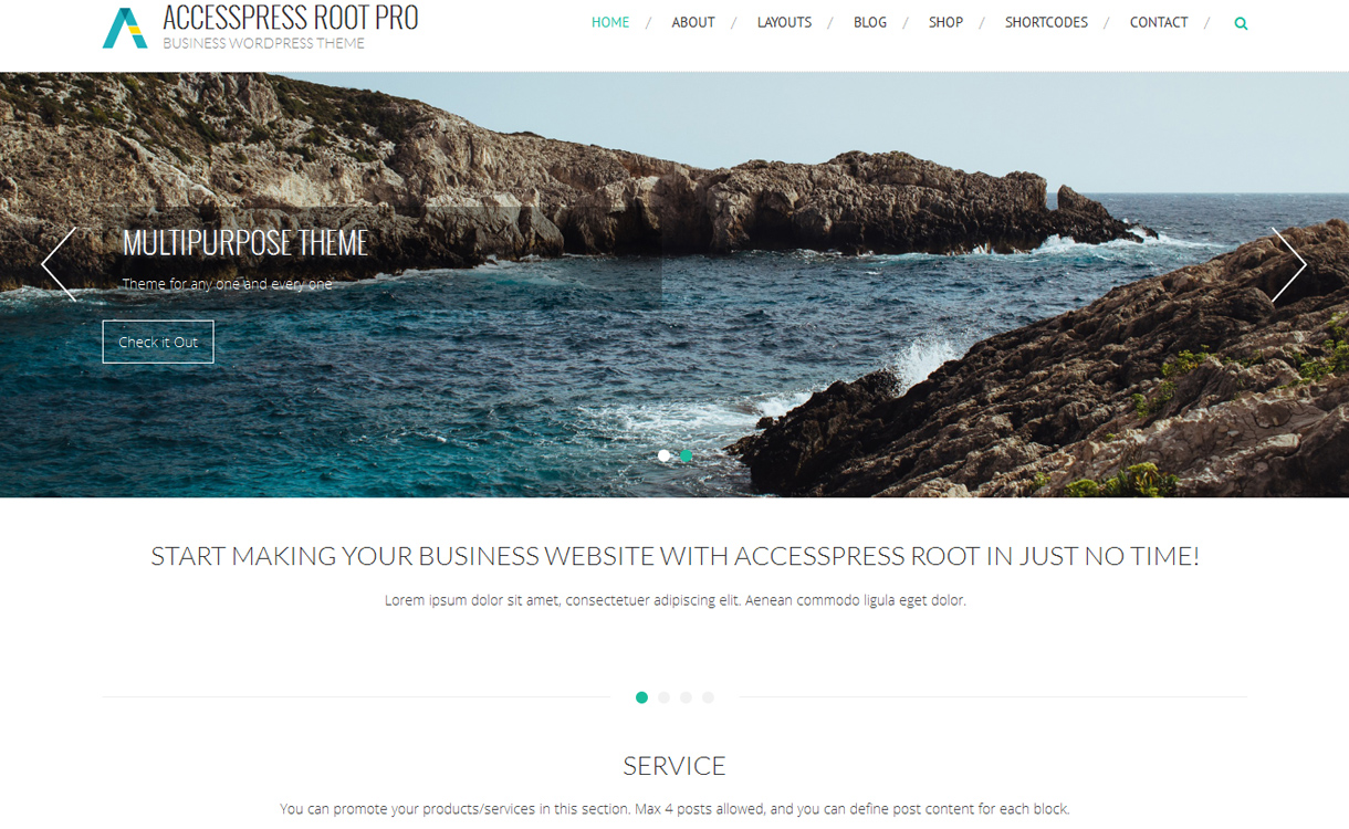 AccessPress Root Pro - Premium WordPress Business Theme