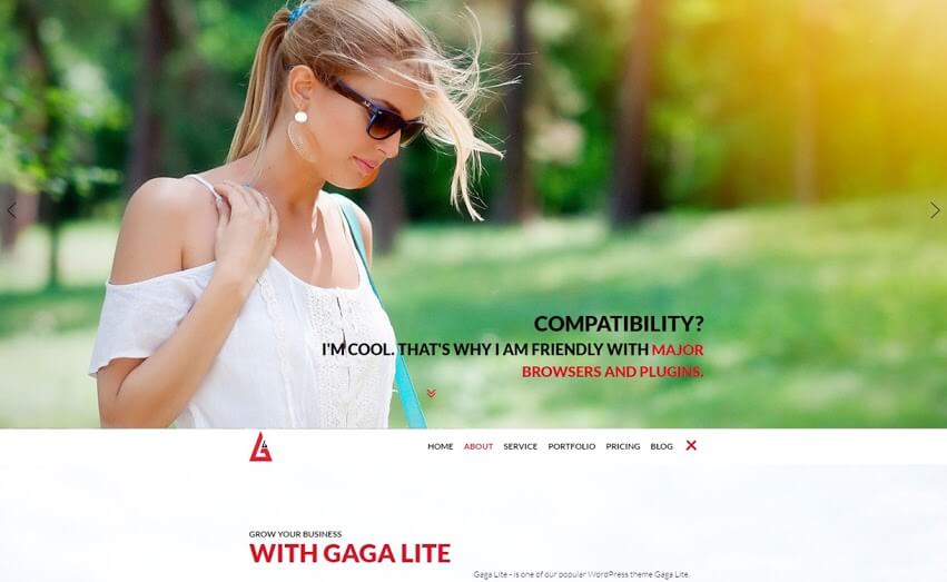 gaga-lite-WordPress-theme