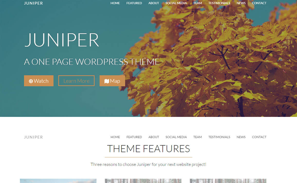 Juniper - Premium WordPress One Page Theme