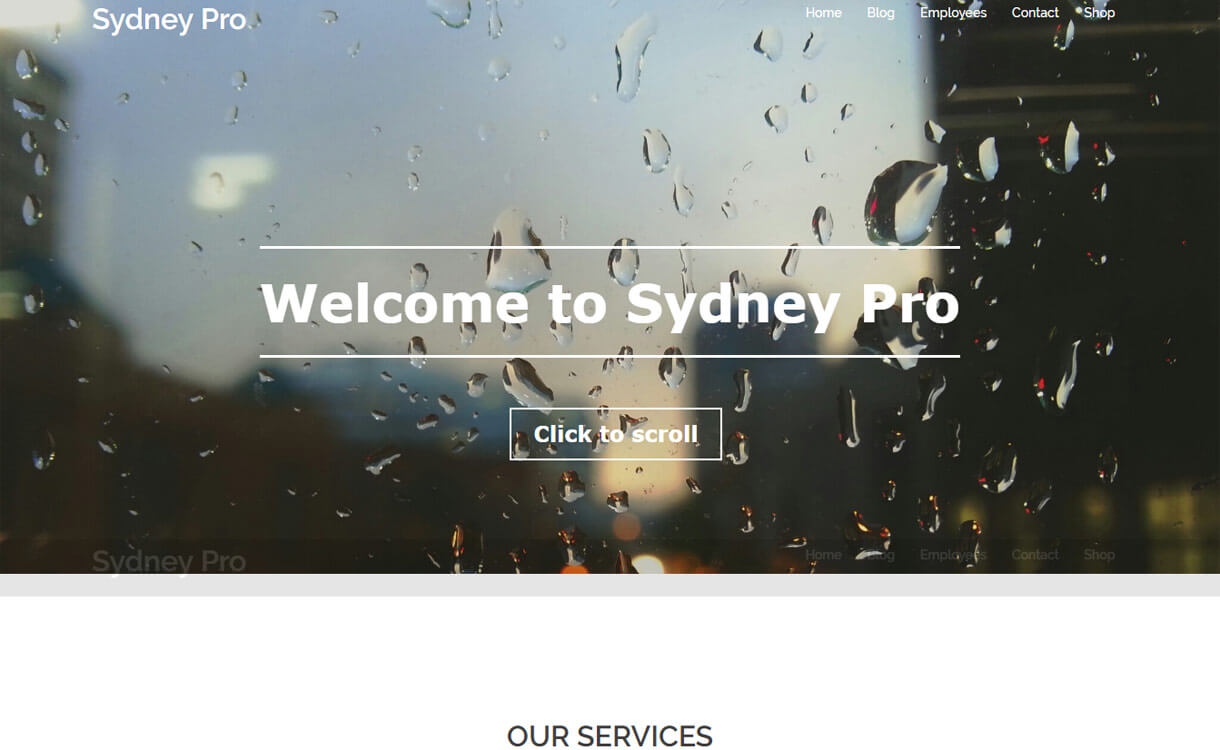 Sydney Pro - Best Premium WordPress Business Agency Themes 