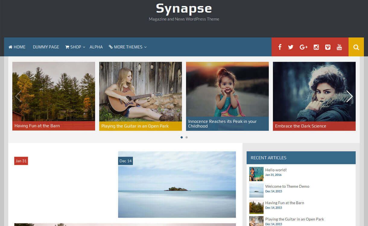 synapse-best free-WordPress-Theme-December-2018