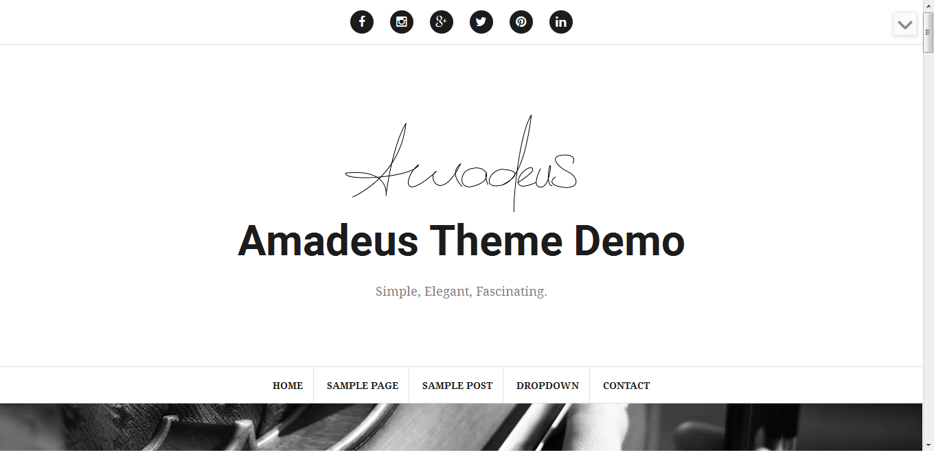 Amadeus - Best Free WordPress Personal/Professional Blog Themes