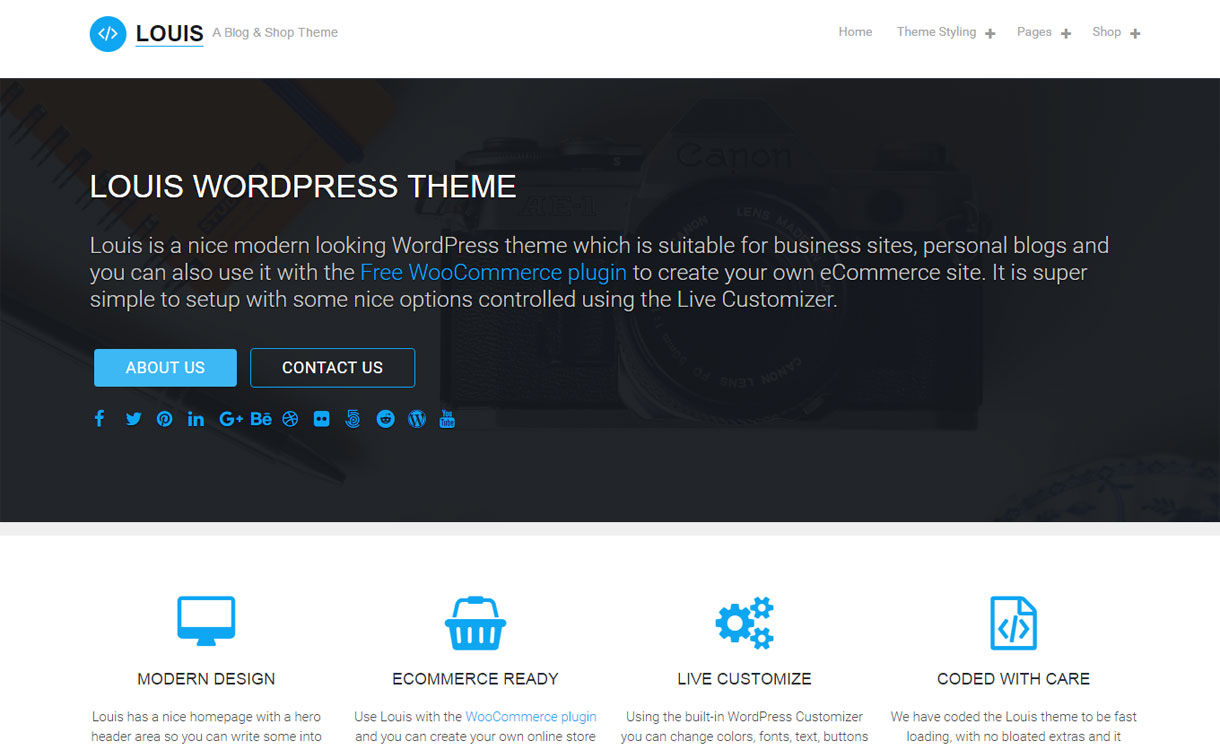 Louis - Free Modern WordPress Theme