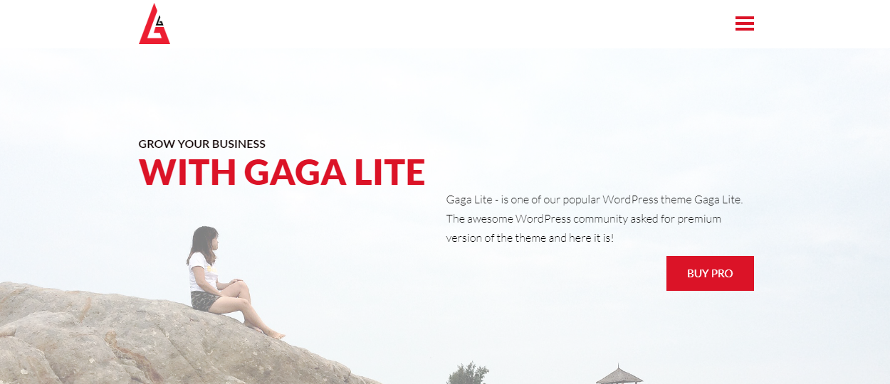 Gaga Lite - Best Free WordPress One Page Themes 