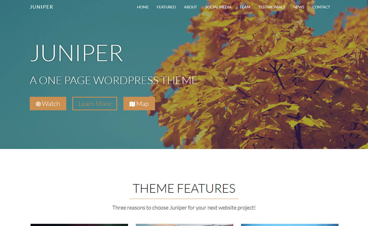 Juniper-Best Free One Page WordPress Themes