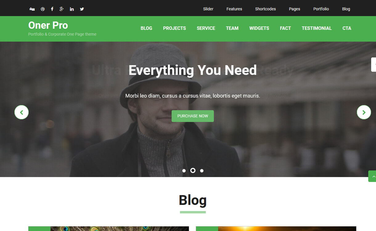 Oner-Best Free One Page WordPress Themes