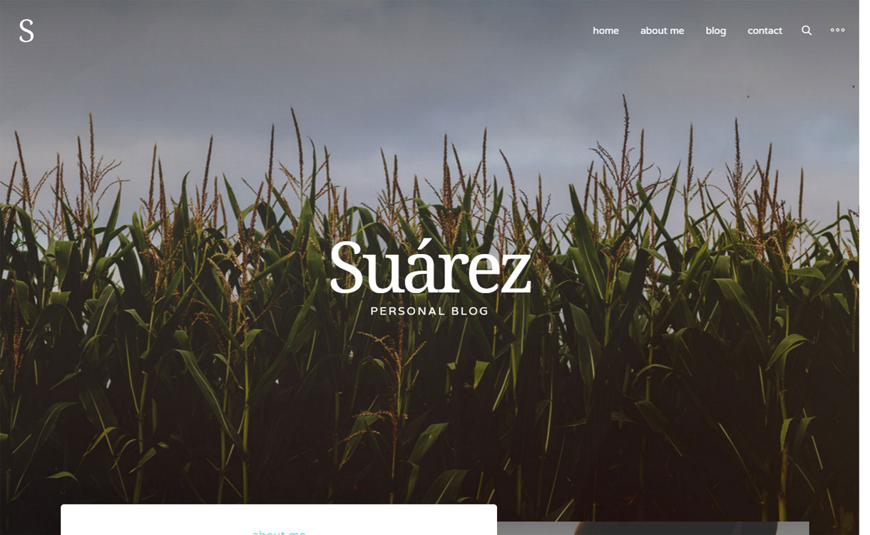 Suarez - Creative WordPress Blog Theme