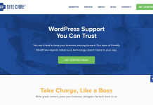 WP-Site-Care-Support-Theme