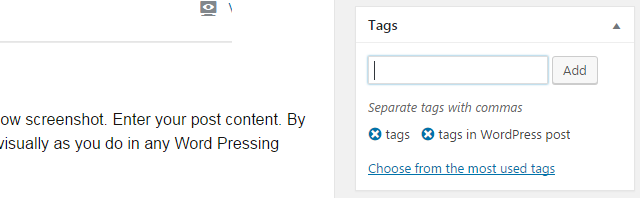 How to add tags to your WordPress post? 
