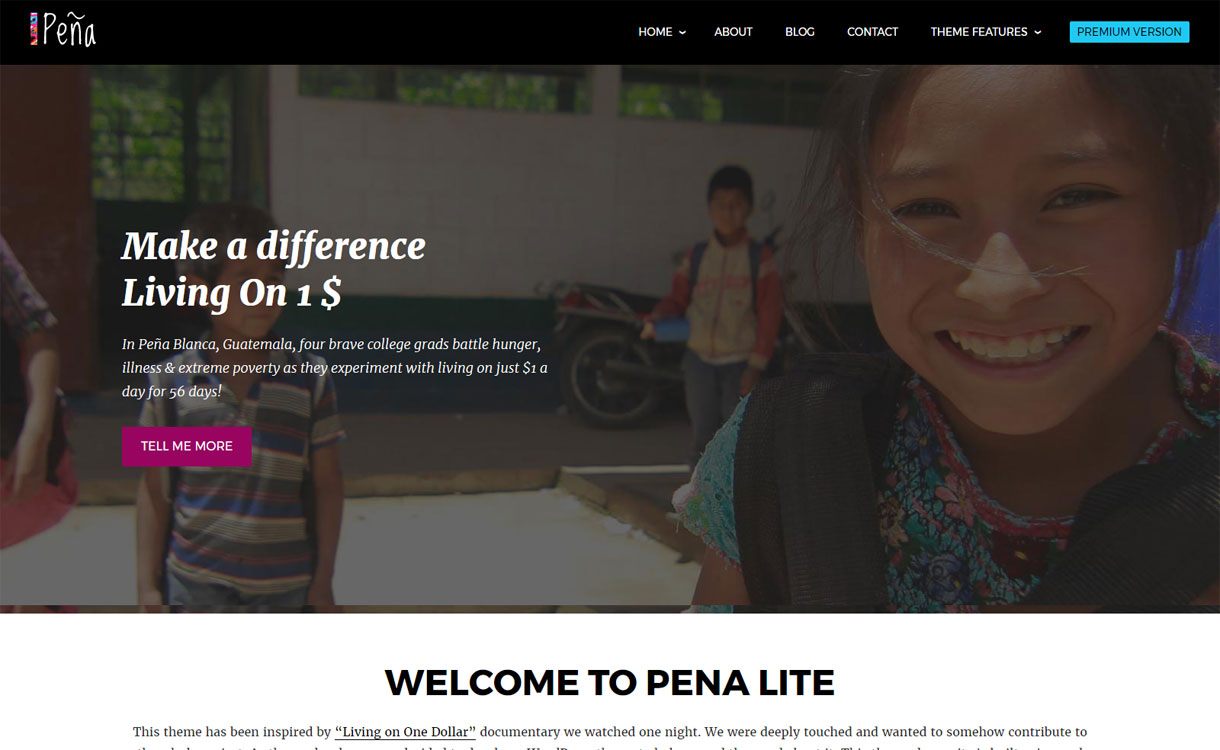 Pena Lite - Free Charity WordPress Theme