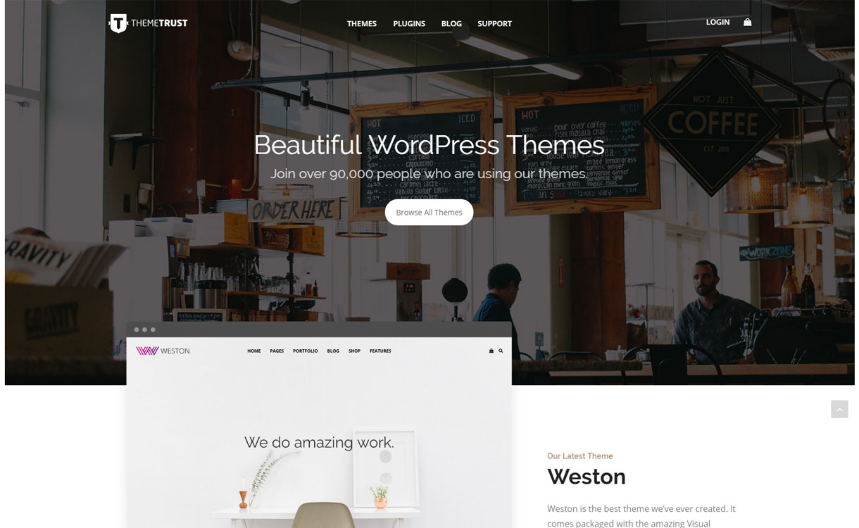 ThemeTrust - Best WordPress Theme Store