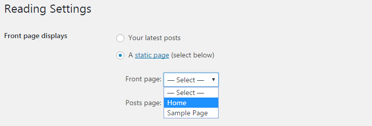 Select the static page you created for homepage