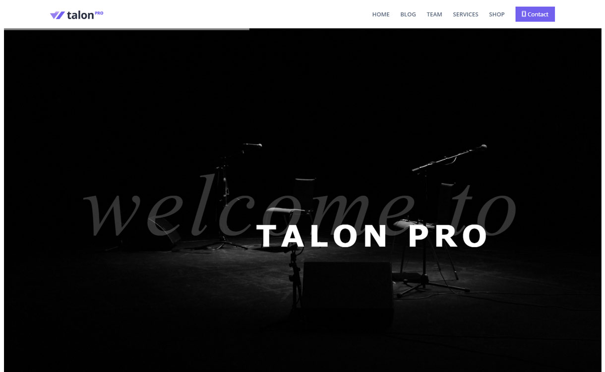 Talon Pro - Multipurpose Business WordPress Theme for 2017