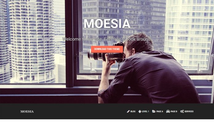 Moesia - Free WordPress Business Theme