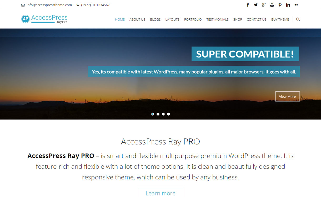 AccessPress Ray Pro Responsive Premium WordPress Business Theme