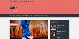Salon - Free WordPress Blog Theme