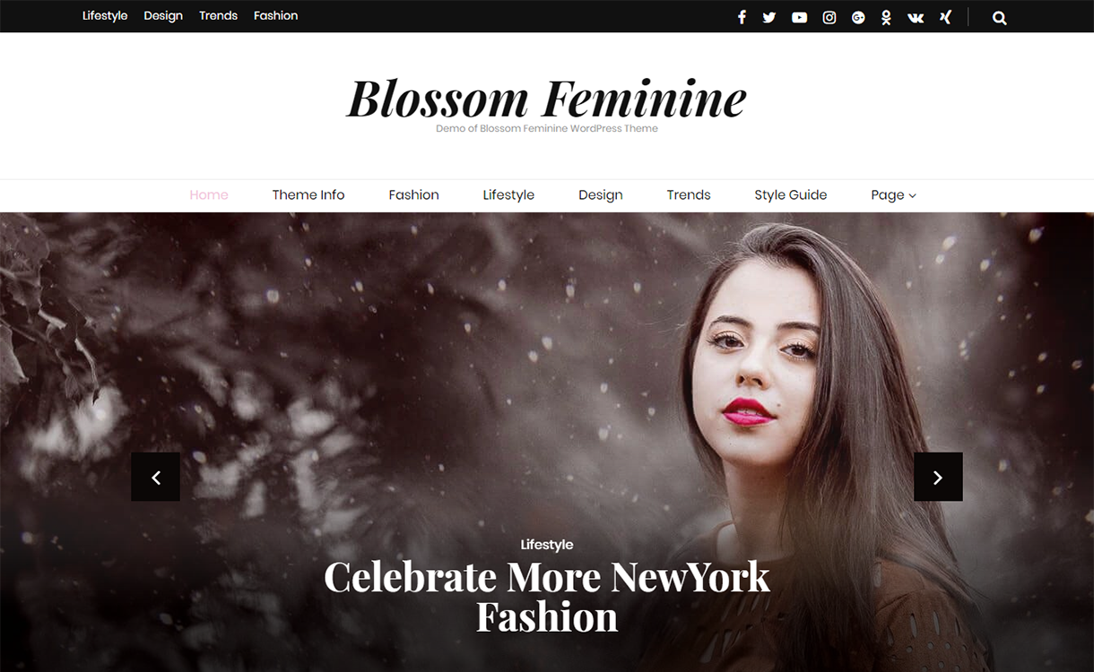 Blossom Feminine-Best Free WordPress Themes December 2017