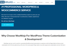 WooNinjas-Customization-Theme
