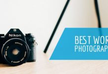 Premium WordPress Photography Themes