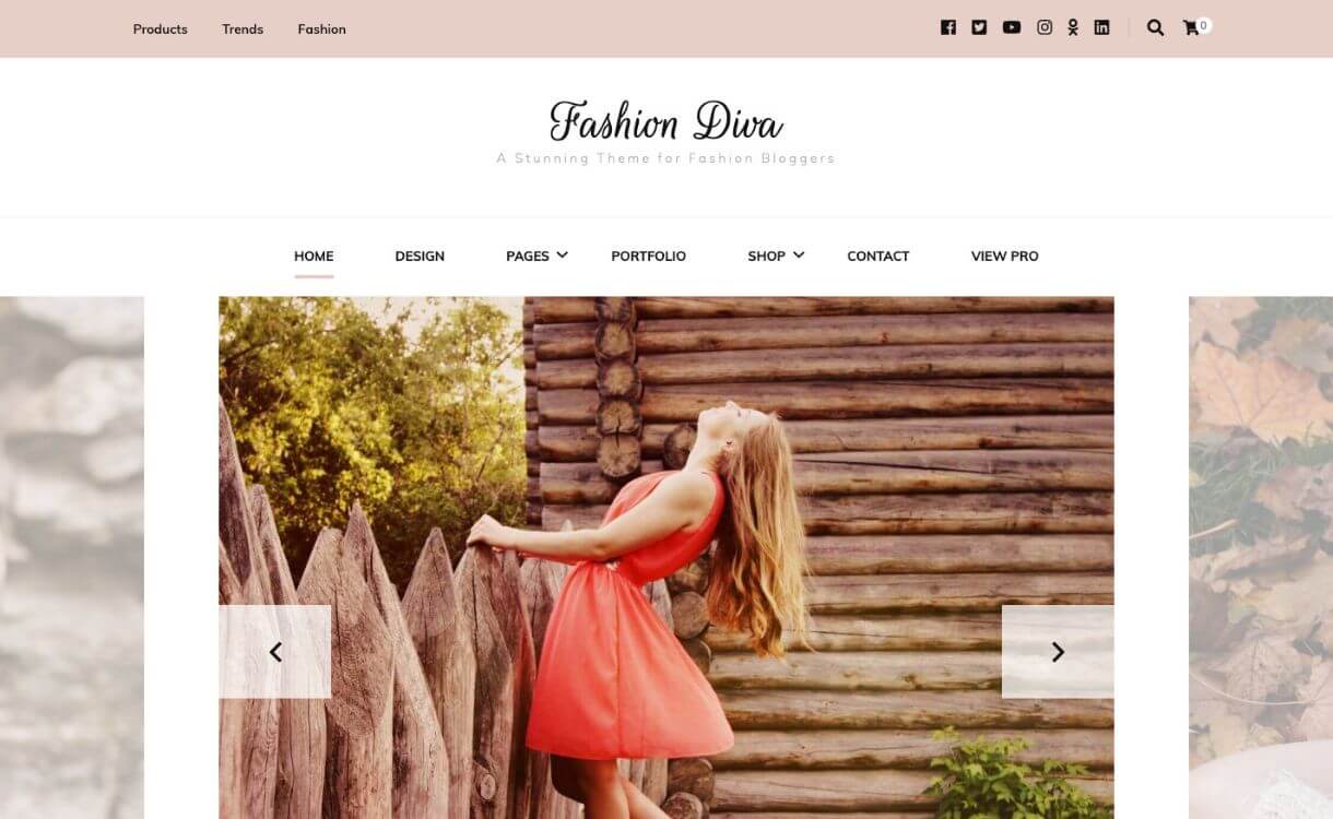 fashion diva - Free WordPress eCommerce Theme