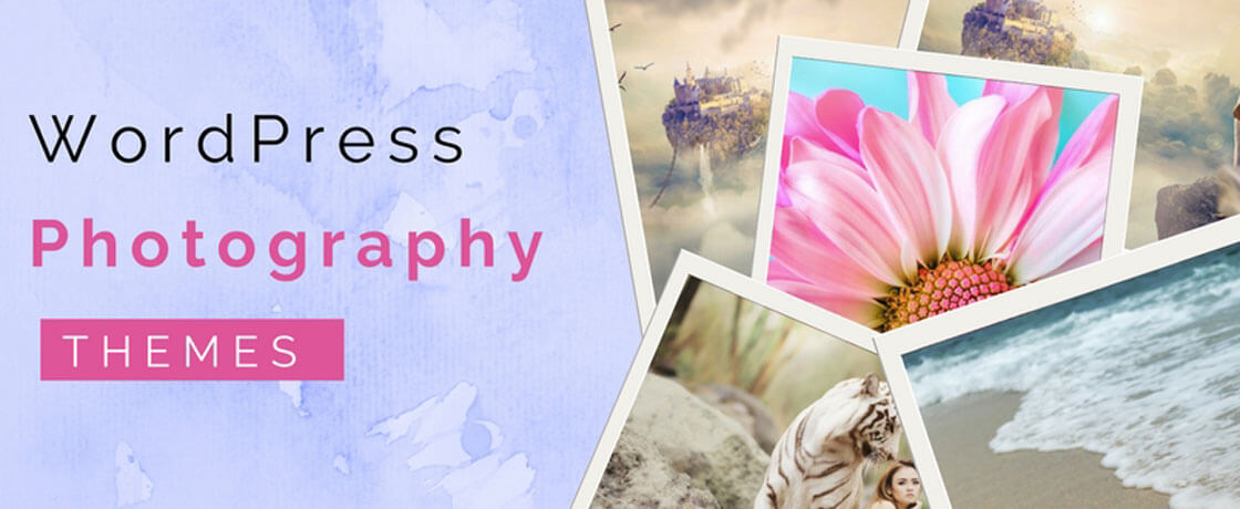 free-wordpress-photography-themes
