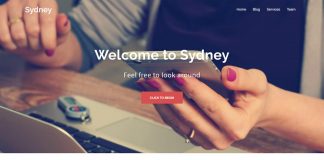 Sydney - Free WordPress Business Theme
