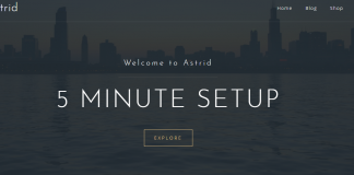 Astrid - Premium Business WordPress Theme