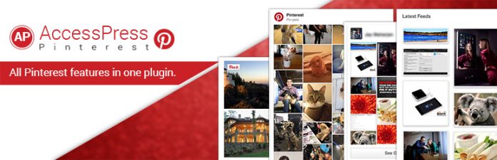 AccessPress Pinterest – Free Pinterest WordPress Plugin