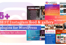 Best Instagram Feed and Gallery Plugins for WordPress