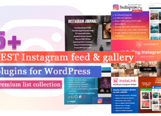 Best Instagram Feed and Gallery Plugins for WordPress