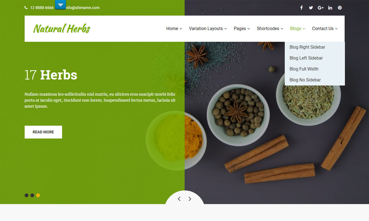 Natural Herbs Lite - Best Free WordPress Themes August