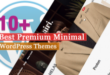Best Premium Minimal WordPress Themes