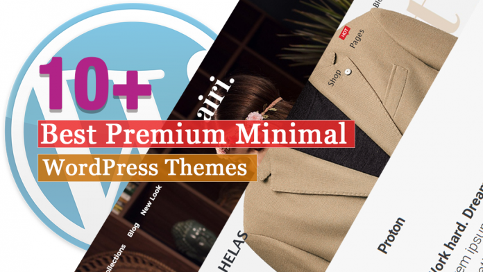 Best Premium Minimal WordPress Themes