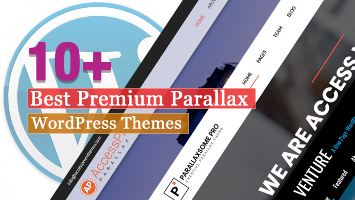 Best Premium Parallax WordPress Themes