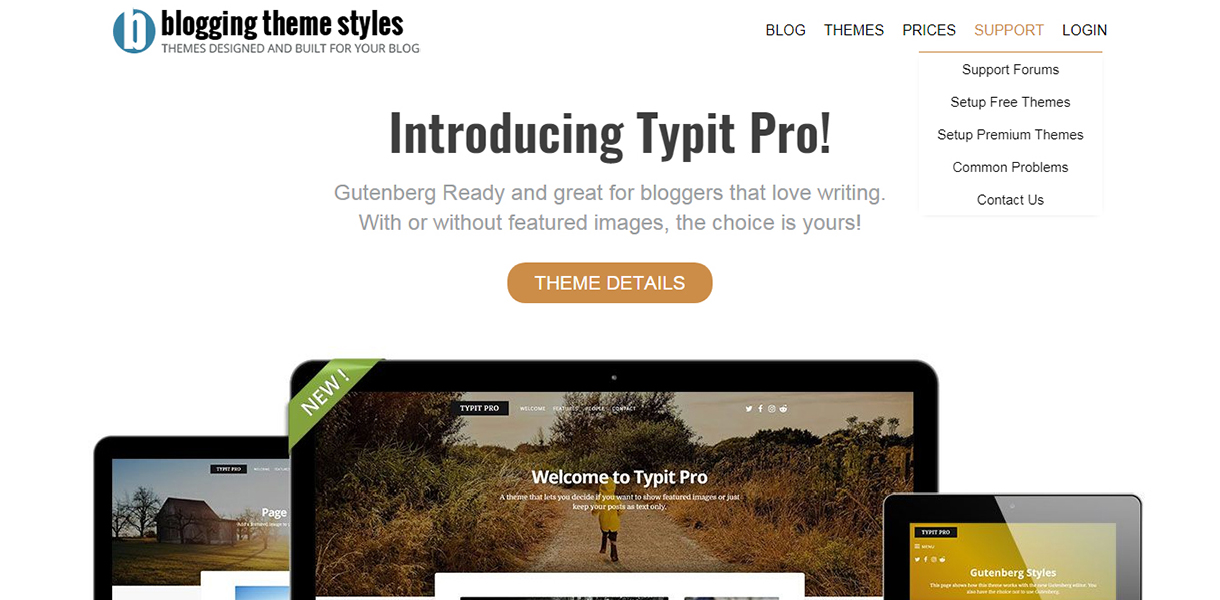 Blogging Theme Styles - Black Friday and Cyber Monday Deal 2018