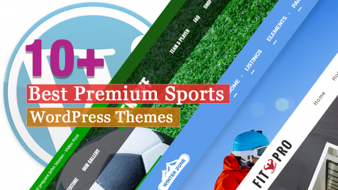 Best Premium Sports WordPress Themes