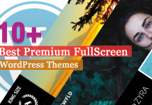 Best Premium Fullscreen WordPress Themes