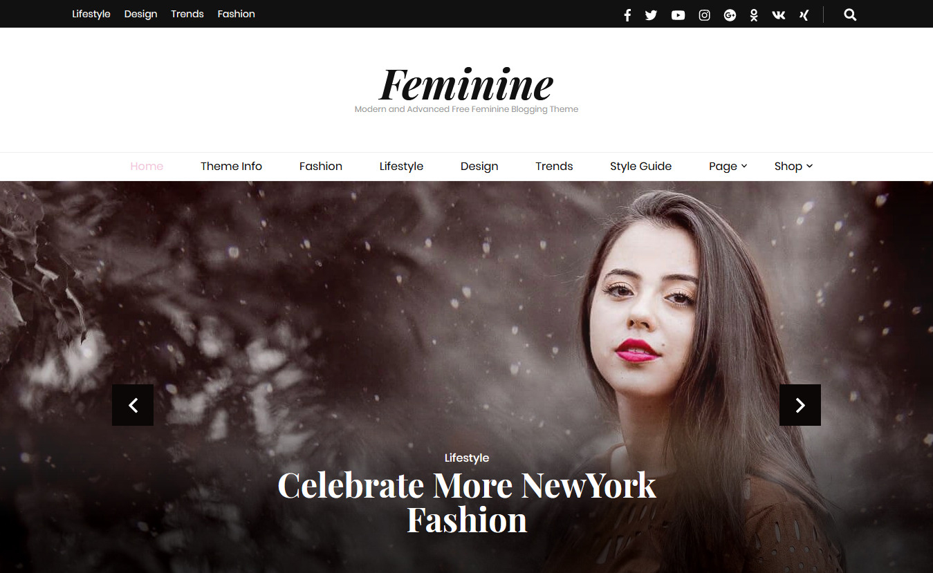 Blossom Feminine - Free Feminine WordPress Theme