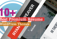 Best Premium Resume WordPress Themes