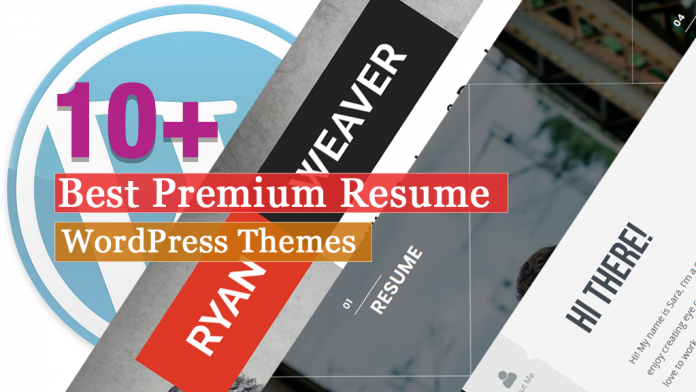 Best Premium Resume WordPress Themes