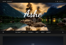 Ashe Blog Pro