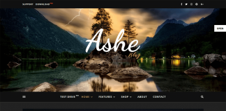 Ashe Blog Pro