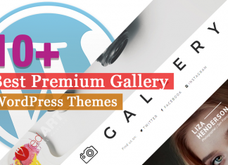 Best Premium Gallery WordPress Themes