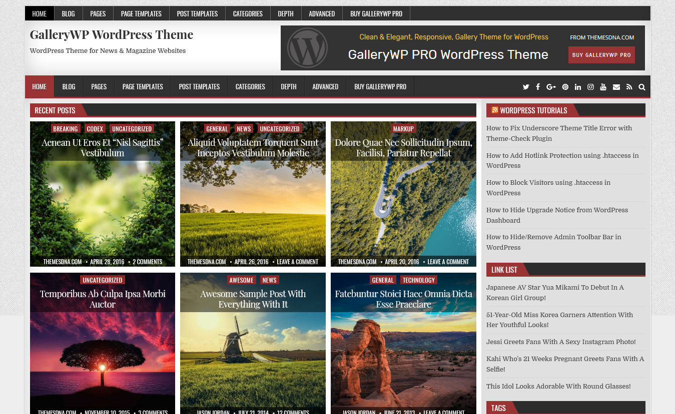 10+ Best Free Gallery WordPress Themes