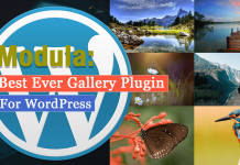 Modula: Best Ever Gallery Plugin for WordPress