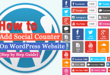 How to Add Social Counter on WordPress Website? (Step by Step Guide)