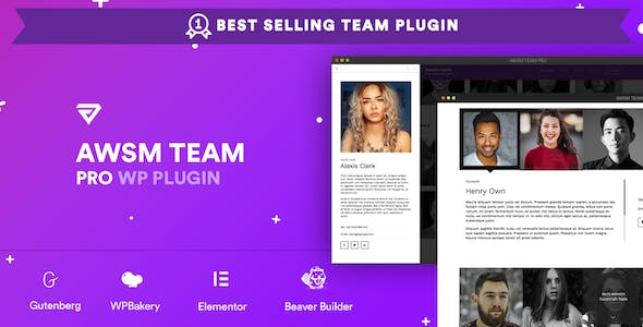 5+ Best WordPress Team Showcase Plugins