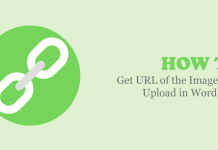 How to Get URL of the Images You Upload in WordPress?