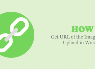 How to Get URL of the Images You Upload in WordPress?