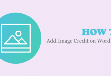 How to Add Image Credit on WordPress? (Step by Step Guide)